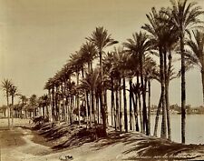 Egypte circa 1880 d'occasion  Saint-André-de-Cubzac