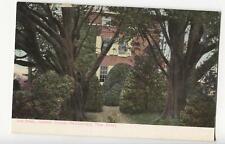 Postcard yew trees for sale  Collegeville