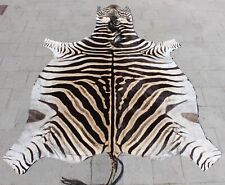 Zebra zebrafell echtes gebraucht kaufen  Neustadt