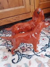 Two red setter for sale  LYMINGTON