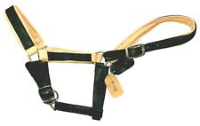 miniature horse halters for sale  LEEDS