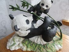 Panda cub pride for sale  GRAVESEND