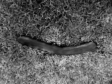 Authentic aboriginal boomerang for sale  The Villages