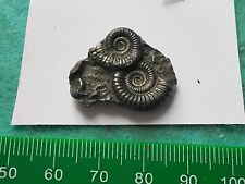 Pyrite ammonite multi for sale  WEST BROMWICH