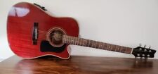 Washburn acoustic electric for sale  Holmes