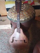 Vintage kay mandolin for sale  Arcata