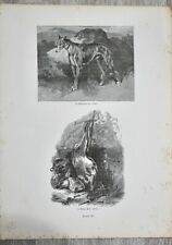 Vintage print deer for sale  BISHOP'S STORTFORD