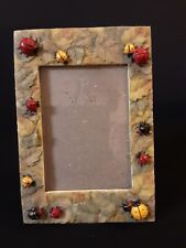 Ladybugs picture frame for sale  Oswego
