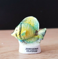 Statuina pesce zebrasoma usato  Spedire a Italy