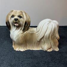 Beautiful lhasa apso for sale  LEICESTER