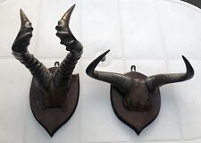 Pair mounted horns for sale  STOCKPORT
