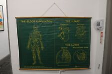 Vintage medical chart for sale  SOUTHAMPTON