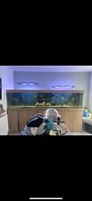 9ftx2ftx2ft aquarium fish for sale  BLACKPOOL