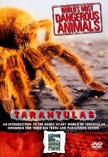 Dangerous animals tarantulas for sale  STOCKPORT