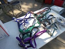 Used horse halters for sale  Taylor
