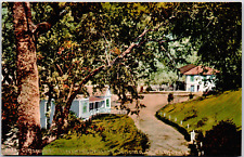 The Geysers Hotel Cottages Sonoma California USA CA Vintage DB Postcard for sale  Shipping to South Africa