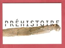 Prehistoire carte postale d'occasion  Buxerolles