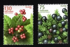 2006 wild berries gebraucht kaufen  Schmachtendorf,-Holten