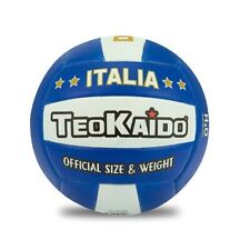 Teokaido pallone volley usato  Italia
