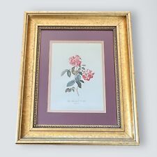Rosa mundi framed for sale  Oakland