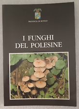 Funghi del polesine usato  Rovigo