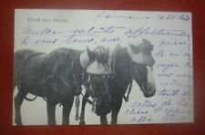 AGRICOLTURA - CPA  - CAVALLI DA TIRO CON CAPPELLI DI PAGLIA 1901 segunda mano  Embacar hacia Argentina