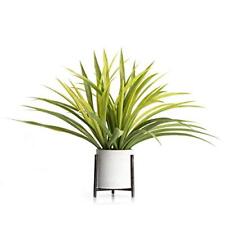 Velener 15 polegadas vaso planta aranha decoração moderna para casa cor verde, usado comprar usado  Enviando para Brazil