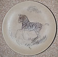 Zebra african baby for sale  YEOVIL