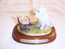 west highland terrier leonardo for sale  BIRMINGHAM