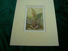 Vintage bookplate flower for sale  YEOVIL