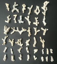 Pieces white coral for sale  Ingleside