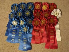 Horse show ribbons for sale  Fishers