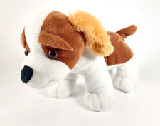 Plus beagle dog for sale  NORTHAMPTON