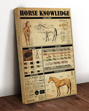 Horse knowledge horses for sale  Chicago