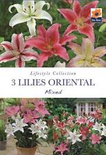 Lilies oriental mixed for sale  UK
