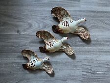 Beswick graduated flying for sale  MONTROSE