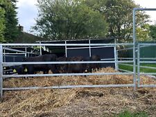 rearing shed for sale  CROOK