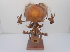 Exploded skull human for sale  Cypress