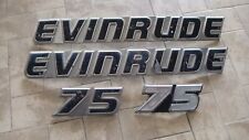Evinrude outboard logo usato  Italia