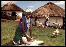 Transkei Southern Africa Homestead Hounds Chicken Pumpkin Grinding Corn Postcard for sale  Shipping to South Africa
