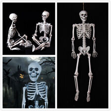 life size skeletons for sale  Shipping to Ireland