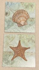Starfish scallop shell for sale  Indianapolis