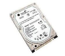 Hard disk 80gb usato  Torrenova