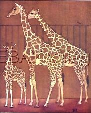 Giraffe family stunning for sale  Lake Villa