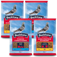 Bucktons pigeon dove for sale  DARTFORD