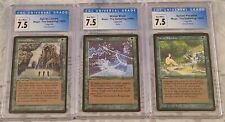 Mtg legends sylvan for sale  Christmas Valley