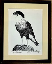 Caracara rare find for sale  Fort Lauderdale