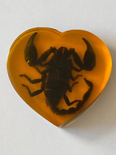 Scorpion insecte inclusion d'occasion  Pulnoy