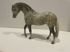 azteca horse for sale  Lindstrom