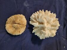 Vintage white coral for sale  Madison